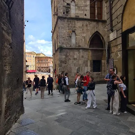 Pellegrini- Behind The Cathedral Daire Siena
